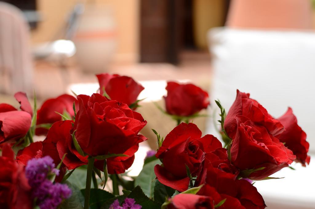 Riad Hadda Marrakesch Exterior foto